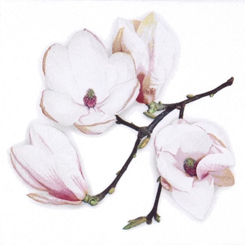 Servilleta para decoupage: White Magnolia. 33x33 cm. Los mejores productos en L'aura Bella tu tienda online