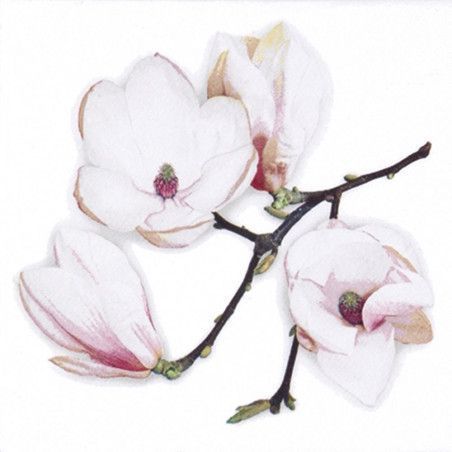 Servilleta para decoupage: White Magnolia. 33x33 cm. Los mejores productos en L'aura Bella tu tienda online