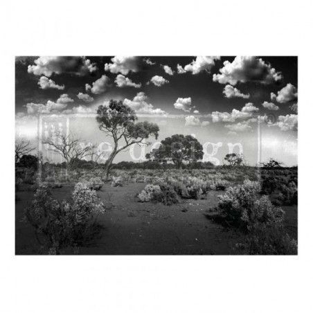 Serene Wilderness. A1 Decoupage Fiber Paper Redesign 660895. Los mejores productos en L'aura Bella tu tienda online