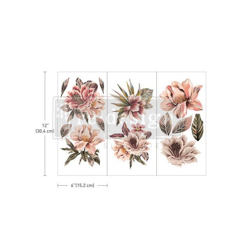 REDESIGN DECOR TRANSFERS® Exotica. 657390. Los mejores productos en L'aura Bella tu tienda online