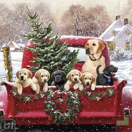 Servilleta para decoupage: Perritos en camioneta. Navidad. 33x33 cm. Los mejores productos en L'aura Bella tu tienda online