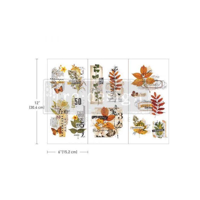 REDESIGN DECOR TRANSFERS® Foliage Collector. 655426. Los mejores productos en L'aura Bella tu tienda online