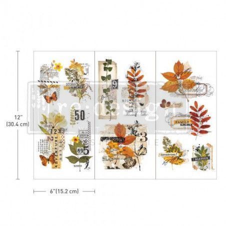 REDESIGN DECOR TRANSFERS® Foliage Collector. 655426. Los mejores productos en L'aura Bella tu tienda online