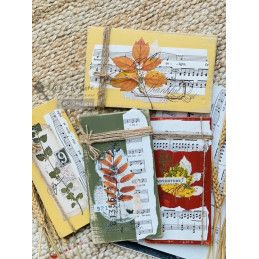 REDESIGN DECOR TRANSFERS® Foliage Collector. 655426. Los mejores productos en L'aura Bella tu tienda online