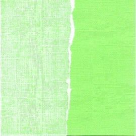 Papel básico scrapbooking....