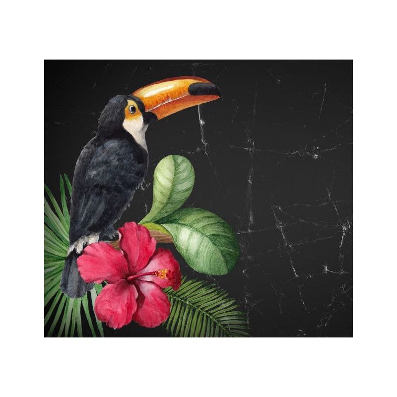 Toucan, tucán. Papel Decoupage Mint by Michelle. A3. Los mejores productos en L'aura Bella, tu tienda online