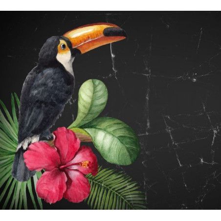 Toucan, tucán. Papel Decoupage Mint by Michelle. A3. Los mejores productos en L'aura Bella, tu tienda online