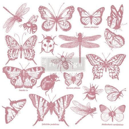 Monarch Collection. Sello acrilico DÉCOR STAMPS®. REDESIGN 650087. Los mejores productos en L'aura Bella tu tienda online