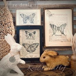 Monarch Collection. Sello acrilico DÉCOR STAMPS®. REDESIGN 650087. Los mejores productos en L'aura Bella tu tienda online