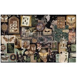 Herbarium Notes Decoupage Tissue Paper Redesign 665371. Los mejores productos en L'aura Bella tu tienda online