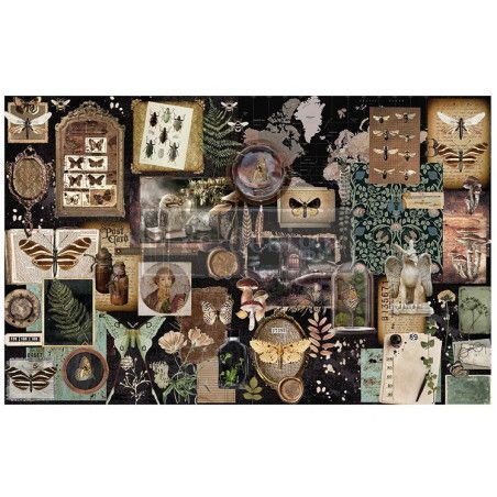 Herbarium Notes Decoupage Tissue Paper Redesign 665371. Los mejores productos en L'aura Bella tu tienda online