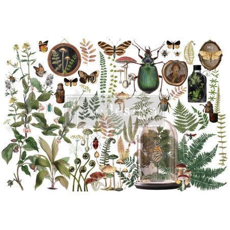 REDESIGN DECOR TRANSFERS® My Findings 665333. Los mejores productos en L'aura Bella tu tienda online