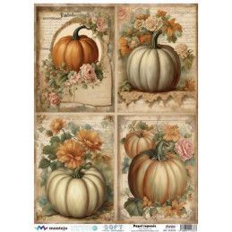 Calabazas en carteles. SPA5410. papel soft japonés. Montejo. Los mejores productos en L'aura Bella, tu tienda online