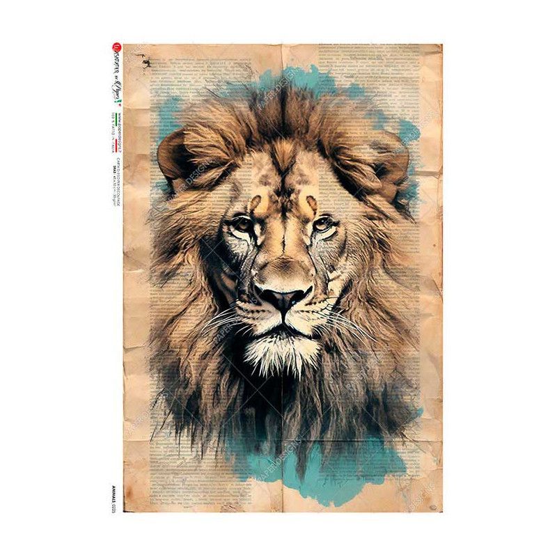 León sobre fondo de periódico. Papel de arroz A3, 45x32 cm. Los mejores productos en L'aura Bella, tu tienda online