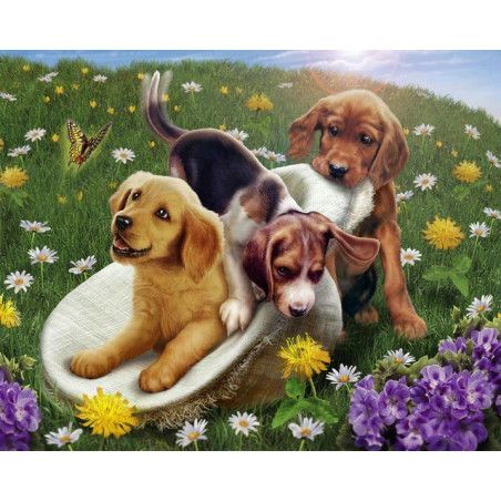 Kit Pintar por números Juego con amigos, perritos. FA10043. Los mejores productos en L'aura Bella tu tienda online