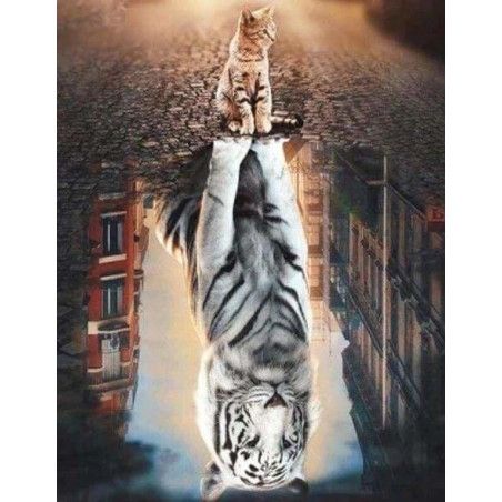 Kit Diamond Painting, Reflejo de un gato en la ciudad. DP-559. Los mejores productos en L'aura Bella tu tienda online