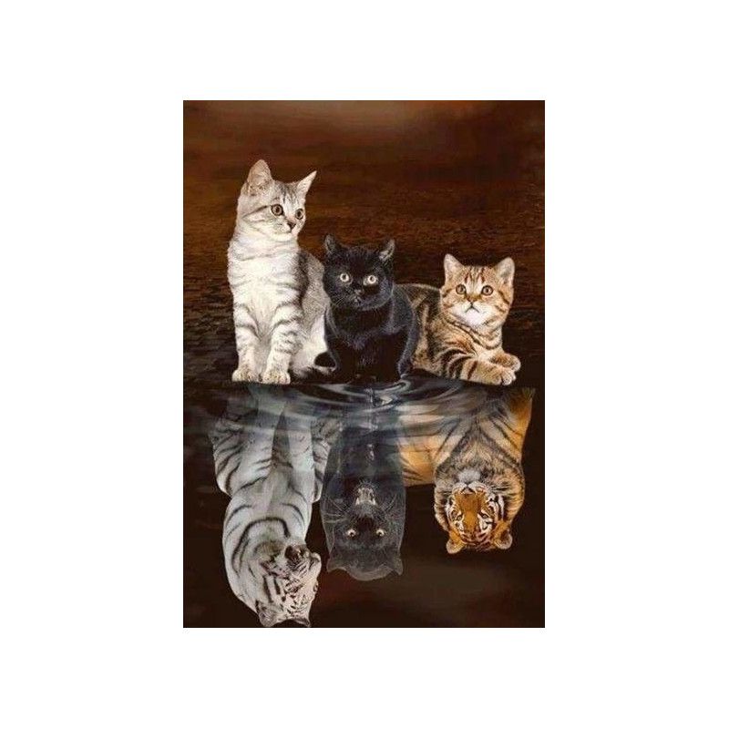 Kit Diamond Painting, Reflejos de gatitos. DP-839. Los mejores productos en L'aura Bella tu tienda online