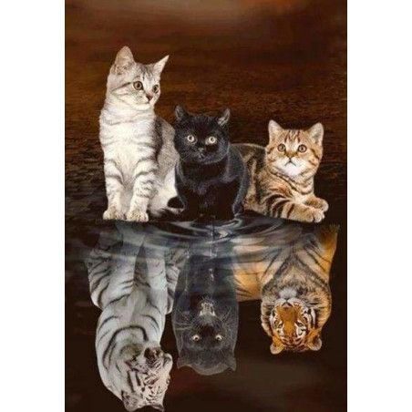 Kit Diamond Painting, Reflejos de gatitos. DP-839. Los mejores productos en L'aura Bella tu tienda online