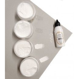 tipos de pastas cadence. Los mejores productos en L'aura Bella, tu tienda online