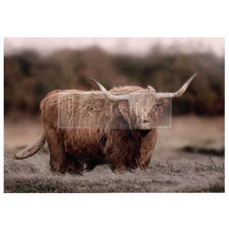 Highland Grace. A1 Decoupage Fiber Paper Redesign 672898. Los mejores productos en L'aura Bella tu tienda online