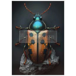 Brass Scarab.. A1 Decoupage Fiber Paper Redesign 673109. Los mejores productos en L'aura Bella tu tienda online