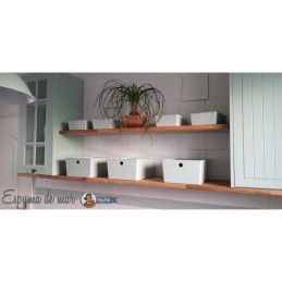 Espuma de mar. 
Esmalte multisuperficie Mary Paint. Los mejores productos en L’aura Bella, tu tienda online y en Madrid