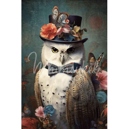 Reginald, búho. Papel Tissue para Decoupage. Whimsykel Designs. Los mejores productos en L'aura Bella, tu tienda online.