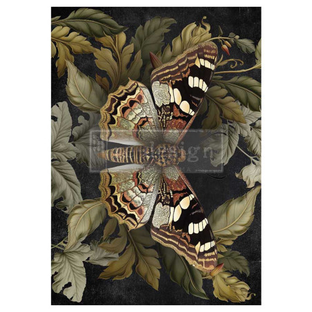 Butterfly Conservatory Tales. A1 Decoupage Fiber Paper Redesign 672317. Los mejores productos en L'aura Bella tu tienda online