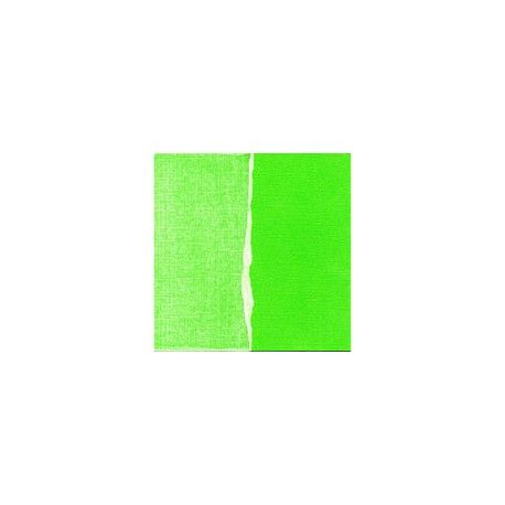 Papel de scrapbooking liso Kiwi GX-LG040-12. El mejor scrap en tu tienda L'aura Bella