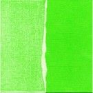 Papel de scrapbooking liso Kiwi GX-LG040-12. El mejor scrap en tu tienda L'aura Bella