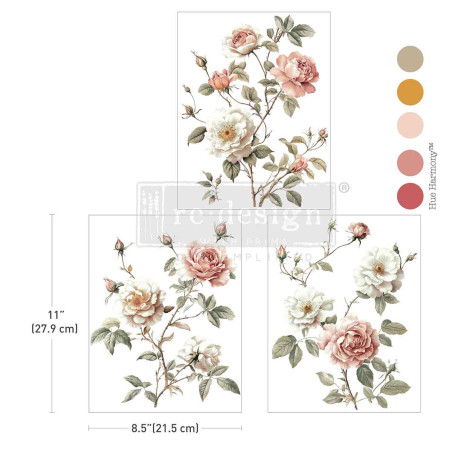 Creamy Blush Blooms. Middy Decor TRansfer. 676223. Los mejores productos en L'aura Bella, tu tienda online