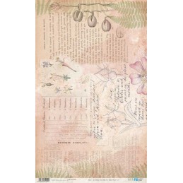 Papel de arroz Botanical Book Pages III. PFY14589. Los mejores productos en L'aura Bella tu tienda online