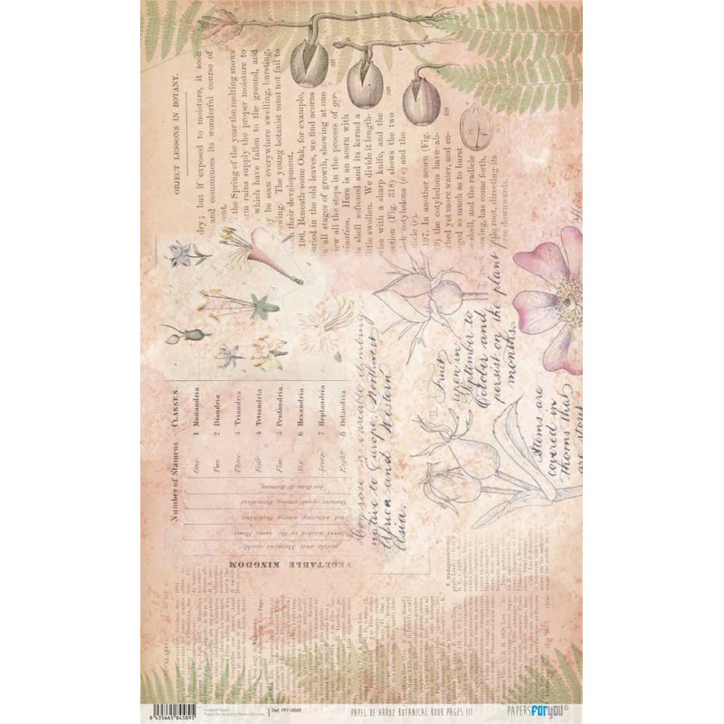 Papel de arroz Botanical Book Pages III. PFY14589. Los mejores productos en L'aura Bella tu tienda online