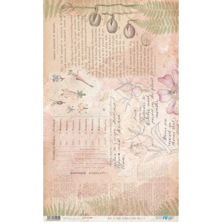 Papel de arroz Botanical Book Pages III. PFY14589. Los mejores productos en L'aura Bella tu tienda online