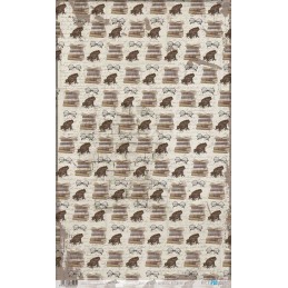 Papel de arroz Wizarding Adventure II. PFY13257. Los mejores productos en L'aura Bella tu tienda online
