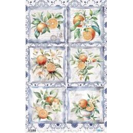 Papel de arroz Oranges III. PFY14213. Los mejores productos en L'aura Bella tu tienda online