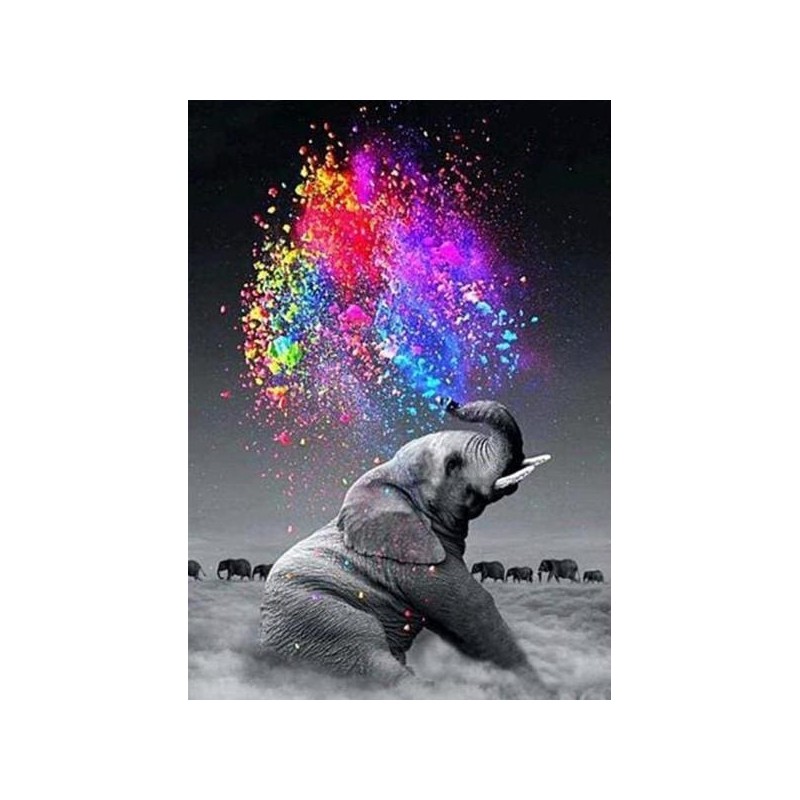 Kit Pintar por números:  Elefante y colores. PN1927-Y. Figured'Art. Los mejores productos en L'aura Bella tu tienda online