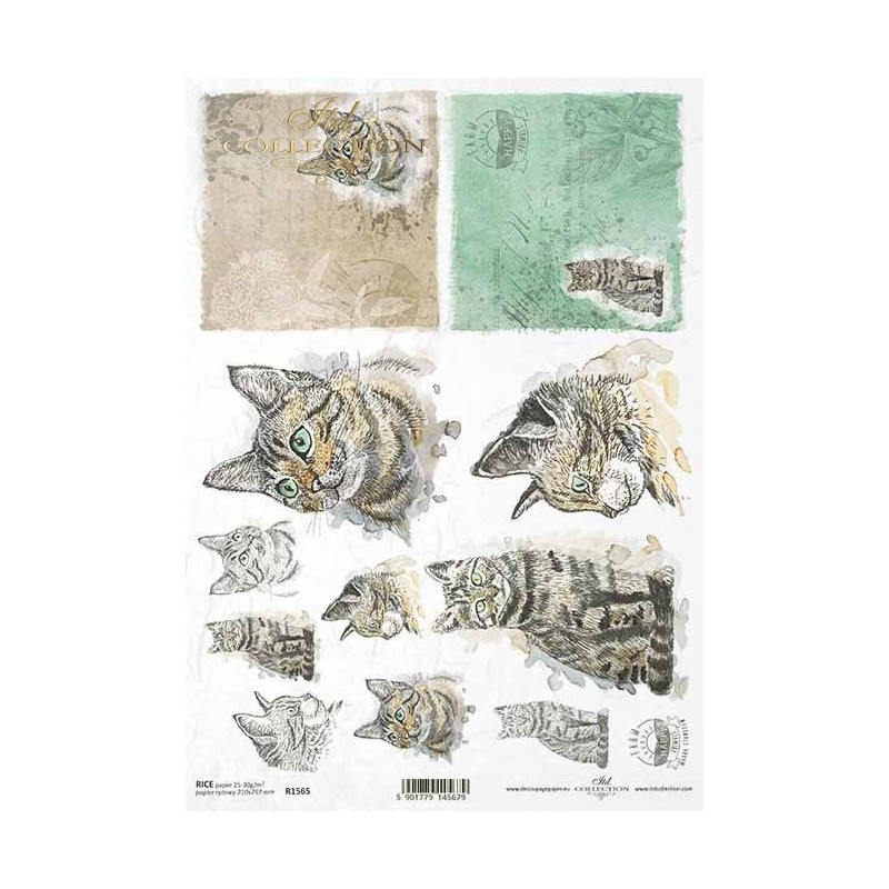 Gatos. Papel de arroz A4 para decoupage ITD Collection. R1565. Los mejores productos en L'aura Bella, tu tienda online