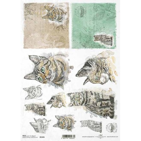 Gatos. Papel de arroz A4 para decoupage ITD Collection. R1565. Los mejores productos en L'aura Bella, tu tienda online