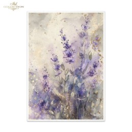 Mujer y lavandas. 3 papel arroz A3  decoupage. ITD Collection. FPA3019. Los mejores productos en L'aura Bella, tu tienda online