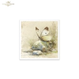 Insectos. Set 6 papeles de arroz decoupage. ITD. RSM223. Los mejores productos en L'aura Bella, tu tienda online