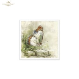 Insectos. Set 6 papeles de arroz decoupage. ITD. RSM223. Los mejores productos en L'aura Bella, tu tienda online