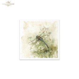 Insectos. Set 6 papeles de arroz decoupage. ITD. RSM223. Los mejores productos en L'aura Bella, tu tienda online