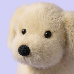 Golden Puppy, cachorro de golden. Peluche Jellycat. MAL3DOG. Los mejores productos en L'aura Bella, tu tienda online