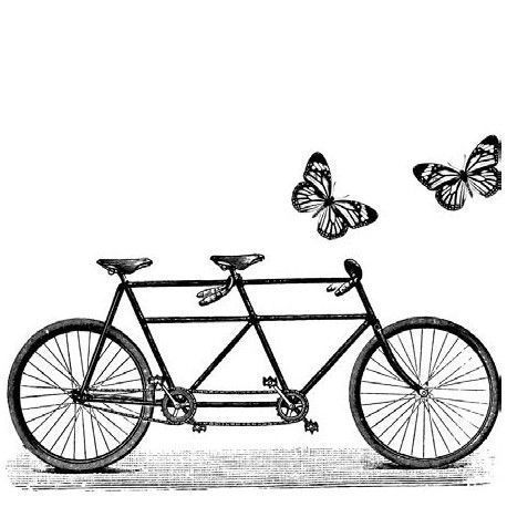Tandem y mariposas