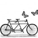 Tandem y mariposas