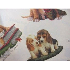 Serie Elegant: Perros....