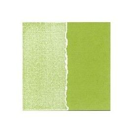 Papel básico scrapbooking....