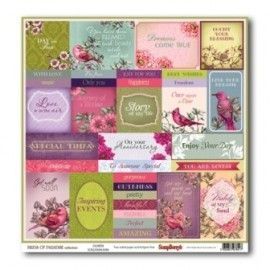 Birds of Paradise: Plumes