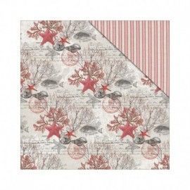 Beach affair: Starfish